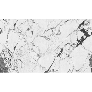 חיפוי עמיד למים לקירות מקלחת